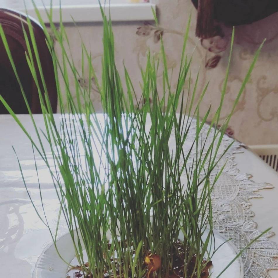 слайд