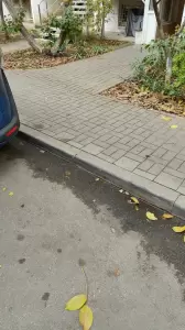 Фотография Рада Best 4