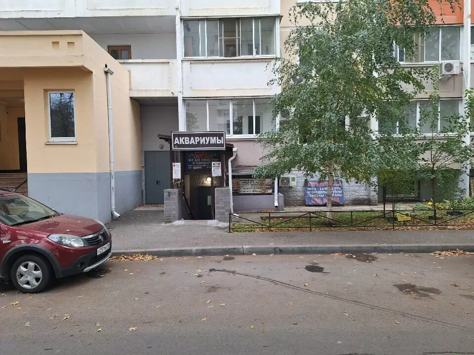 слайд