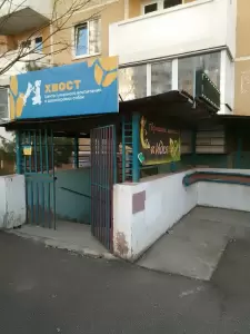 Фотография Идея 4