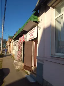 Фотография С иголочки 4