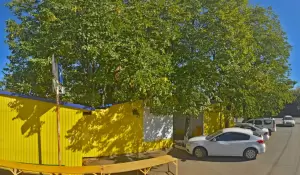 Фотография Иголочка 0